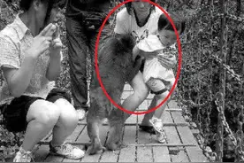妈妈带2岁儿子到动物园，抱着娃去喂猴子，下一刻让她崩溃痛哭图片