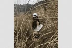 跟女朋友去荒山上约会，她玩得很开心，接下来应该干点什么图片