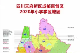 天府新区“多校划片”横空出炉，这个区域或成最大赢家图片