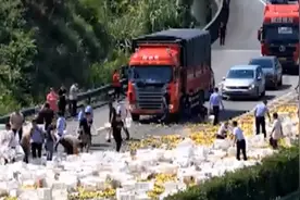 30吨橘子散落高速 这些过路司机的举动很暖心图片
