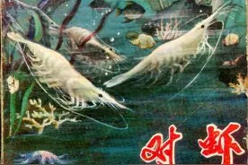 对虾-北京人民出版社1972 科教纪录片连环画图片