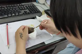 珍爱动物，珍爱生命——记我们救一只小鸟的故事图片