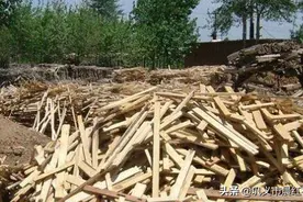 木材粉碎机的出现让废木料变得具有利用价值图片