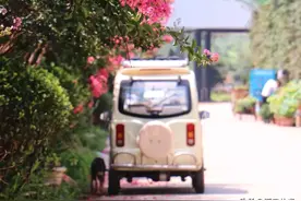 实探陕西最大花市！3小时逛不完，还是小众秘境拍照巨美图片