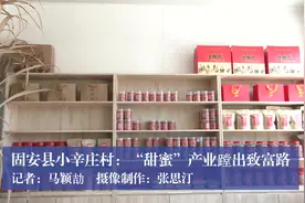 固安县小辛庄村：“甜蜜”产业蹚出致富路图片