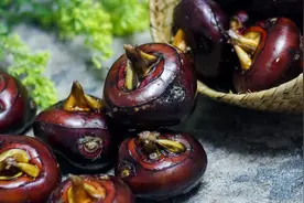 荸荠、藕等这4种常见的蔬菜，警惕寄生虫！孩子尤其要小心图片