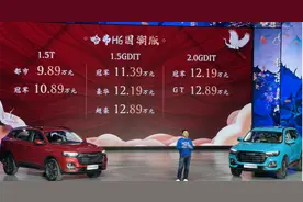 “国潮”“不贵”“还增配” 哈弗H6国潮版上市图片