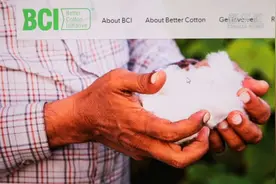起底抵制新疆棉花的BCI标准图片