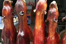 九思分析：狗肉是用偷来的狗做的吗？图片