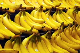 买香蕉时，选弯的还是直的好？60年老果农教你一招，以后别买错了图片