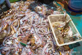 二十人4500元包船出海捕鱼，捕获的海鲜吃完一餐，每人还分到一箱图片