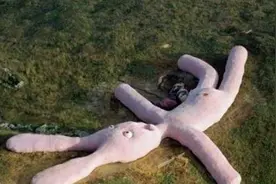 世界“尴尬”的玩偶，身高60米打造5年，结果游客玩不动图片