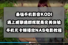 最强手机影音App遇上NAS！KODI无卡顿播放威联通群晖电影教程图片