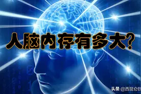 人的大脑相当于多大的内存呢？为什么在记忆力方面无法和电脑相比图片