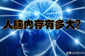人的大脑相当于多大的内存呢？为什么在记忆力方面无法和电脑相比图片