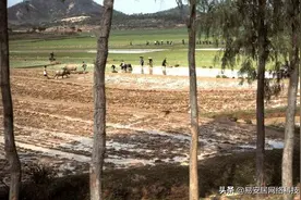 老照片：美国人镜头下1972年的深圳，那时的“鹏城”还是宝安县城图片