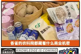 各省的农科院都藏着什么商业机密图片
