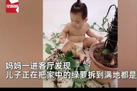 婆婆厨房做菜夸孙子好安静，网友看后都笑了：孩子可能想吃炒绿萝图片