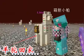 我的世界联机空岛生存165：我们用传送门，将羊驼和白马带回了家