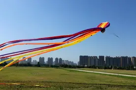 巨型风筝蓝天绘美景图片