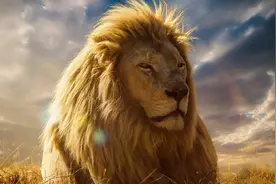 什么样的人可以当老大？图片