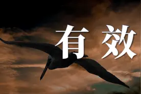 你不是没有重点，你是没有结构：如何有效分析问题？图片