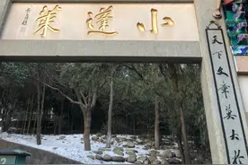 宁买精残，不买普全？图片