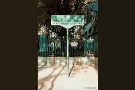 这条路，藏着临沂最真实最美好的一面图片