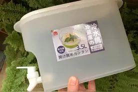 跟风买了这9个网红家居用品，不但没“翻车”，没想到还很实用图片