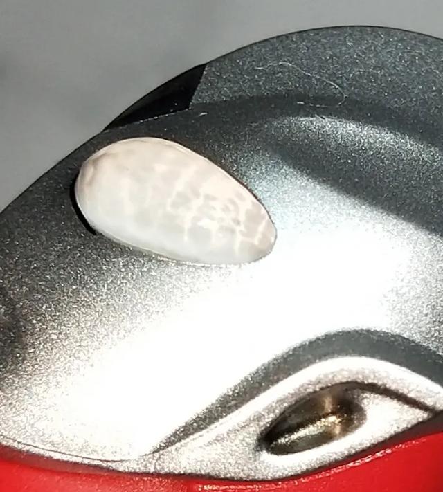 光的继承者——SHF骨雕迪迦奥特曼开箱