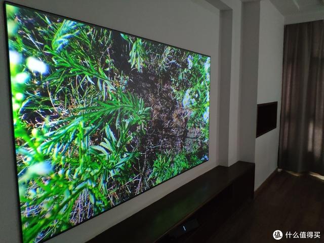 你以为是墙？不！它是电视机！投影入门：画卷幕布菲斯特S1测评