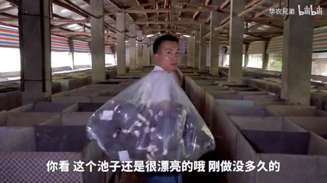 鸡皮疙瘩2在线观看带字