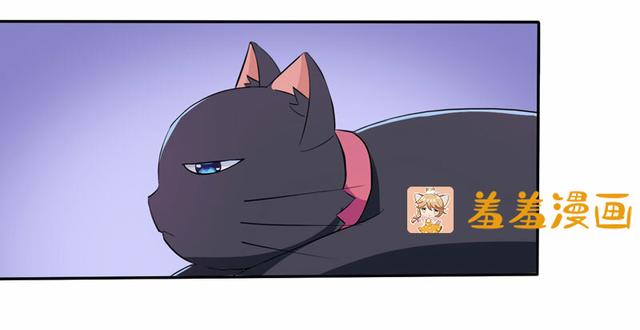 夜路走多了，竟捡到宝，带着巨钻的小黑猫一只