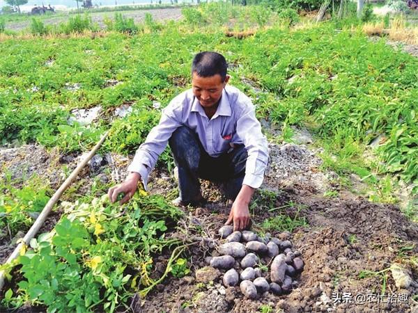 鍥犲瘜鍚姳闈掔礌锛?骞村墠涓€鏂?鍏冧笉鎰佸崠锛屽浠婂嵈楗卞彈鍚愭Ы锛屾拨涓鸿壊绱? onerror=