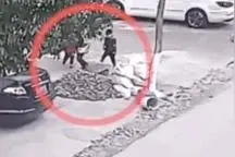 “我60岁了，牺牲都没关系！”图片