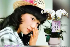 华语流行歌坛的旗帜——凤飞飞，各地歌友集体缅怀凤姐仙逝九周年图片