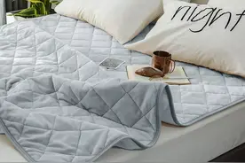 日本神奇黑科技发热毛毯 不用插电，盖上就升温4℃，安全又暖和图片