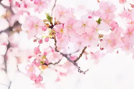 四季健康|养生之道图片