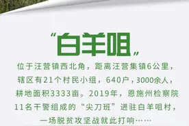 白羊咀村的“婆婆客”图片