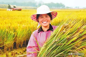 新农合涨钱，哪些人没必要交？另外有什么好消息？图片