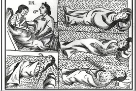 马、天花、番薯：搅动世界500年图片