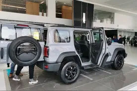 试驾体验——德、日、美系全品类车主试驾新晋爆款网红坦克300图片