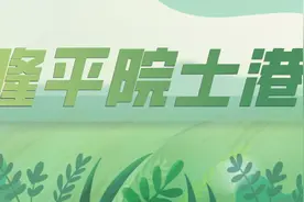 隆平院士港落户长洲岛！将打造农科“黄埔军校”！图片
