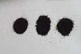 香港的兰芳园为什么能屹立不倒，连很多明星都对它念念不忘图片