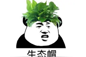亲儿子都绿了？2020年绿帽成财富密码，连宝可梦都学坏了图片