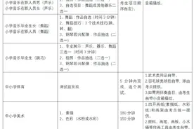 2020年雨花区公开招聘教师术科测试通知图片