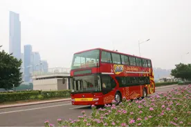 广州观光巴士明起恢复运营，全国医务工作者今年免票图片