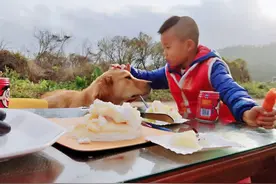扎心的痛！撕心裂肺的喊：小金回来！爱犬被偷后我抑郁了原创图片