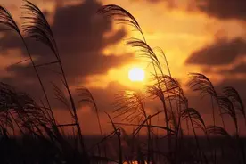 新公学：知命改命图片