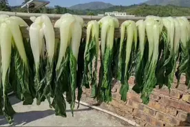 客家青菜干图片